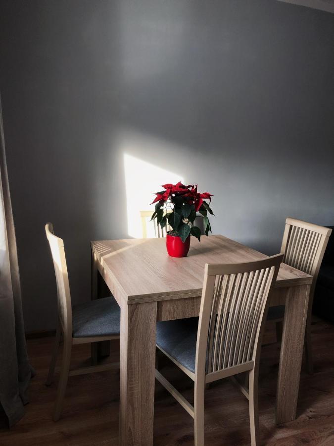 Viola Apartment Szklarska Poreba Bagian luar foto
